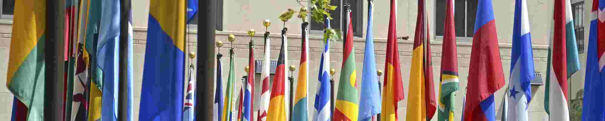 Flags photo