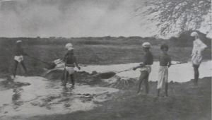 Cultivators harvesting water, western India, early 20th century, image