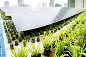 Image of solar panels and growing plants