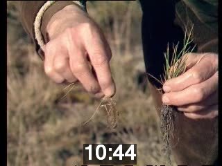 clicking on this image will launch a new video player window playing at this point (ie 10 minutes and 44 seconds) from the start of the video