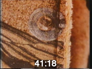 clicking on this image will launch a new video player window playing at this point (ie 41 minutes and 18 seconds) from the start of the video
