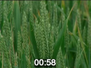 clicking on this image will launch a new video player window playing at this point (ie 58 seconds) from the start of the video