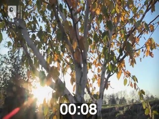 clicking on this image will launch a new video player window playing at this point (ie 8 seconds) from the start of the video
