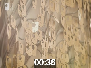 clicking on this image will launch a new video player window playing at this point (ie 36 seconds) from the start of the video