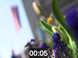 clicking on this image will launch a new video player window playing at this point (ie 5 seconds) from the start of the video