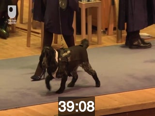 clicking on this image will launch a new video player window playing at this point (ie 39 minutes and 8 seconds) from the start of the video