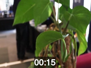 clicking on this image will launch a new video player window playing at this point (ie 15 seconds) from the start of the video