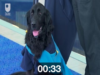 clicking on this image will launch a new video player window playing at this point (ie 33 seconds) from the start of the video