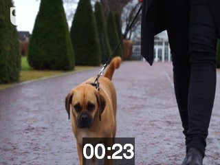 clicking on this image will launch a new video player window playing at this point (ie 23 seconds) from the start of the video