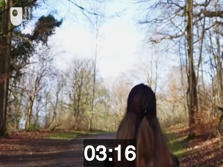 clicking on this image will launch a new video player window playing at this point (ie 3 minutes and 16 seconds) from the start of the video
