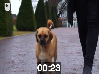 clicking on this image will launch a new video player window playing at this point (ie 23 seconds) from the start of the video