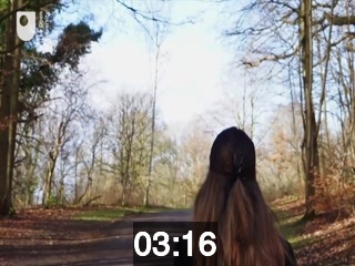 clicking on this image will launch a new video player window playing at this point (ie 3 minutes and 16 seconds) from the start of the video