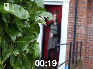 clicking on this image will launch a new video player window playing at this point (ie 19 seconds) from the start of the video