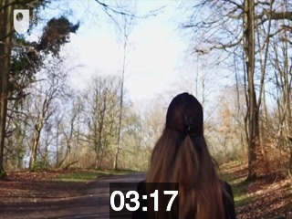 clicking on this image will launch a new video player window playing at this point (ie 3 minutes and 17 seconds) from the start of the video