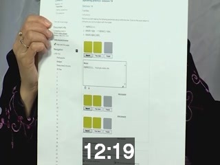 clicking on this image will launch a new video player window playing at this point (ie 12 minutes and 19 seconds) from the start of the video