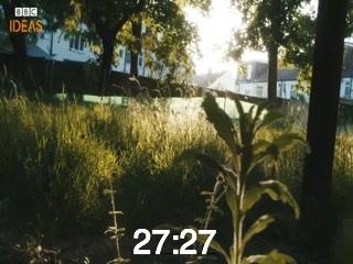 clicking on this image will launch a new video player window playing at this point (ie 27 minutes and 27 seconds) from the start of the video