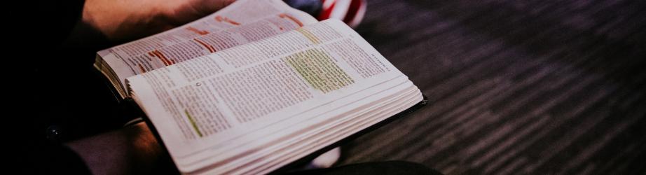 Open book with highlighted passages on student's lap