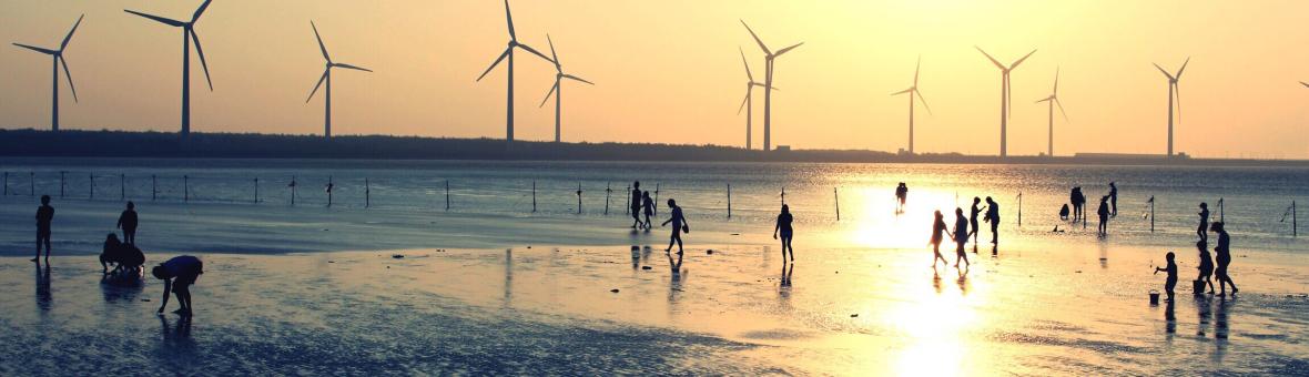 People on shore with wind turbines at sunset