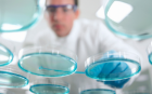 A shot from underneath a glass desk of a man in lab clothes looking at blue petri dishes
