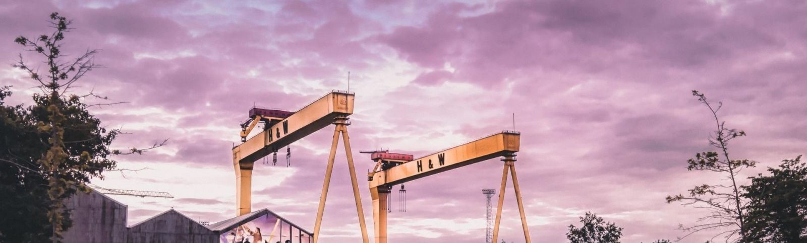 The Harland and Wolffe yellow cranes with an atmospheric purple sky in the background