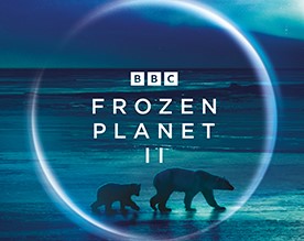 Frozen Planet Hero Banner