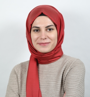Dr Nihan Albayrak-Aydemir