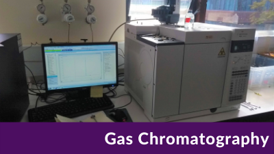 Gas Chromatography (GC)