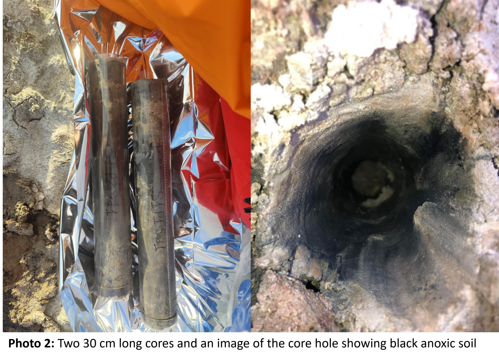 Photo 2: Two 30 cm long cores and an image of the core hole showing black anoxic soil