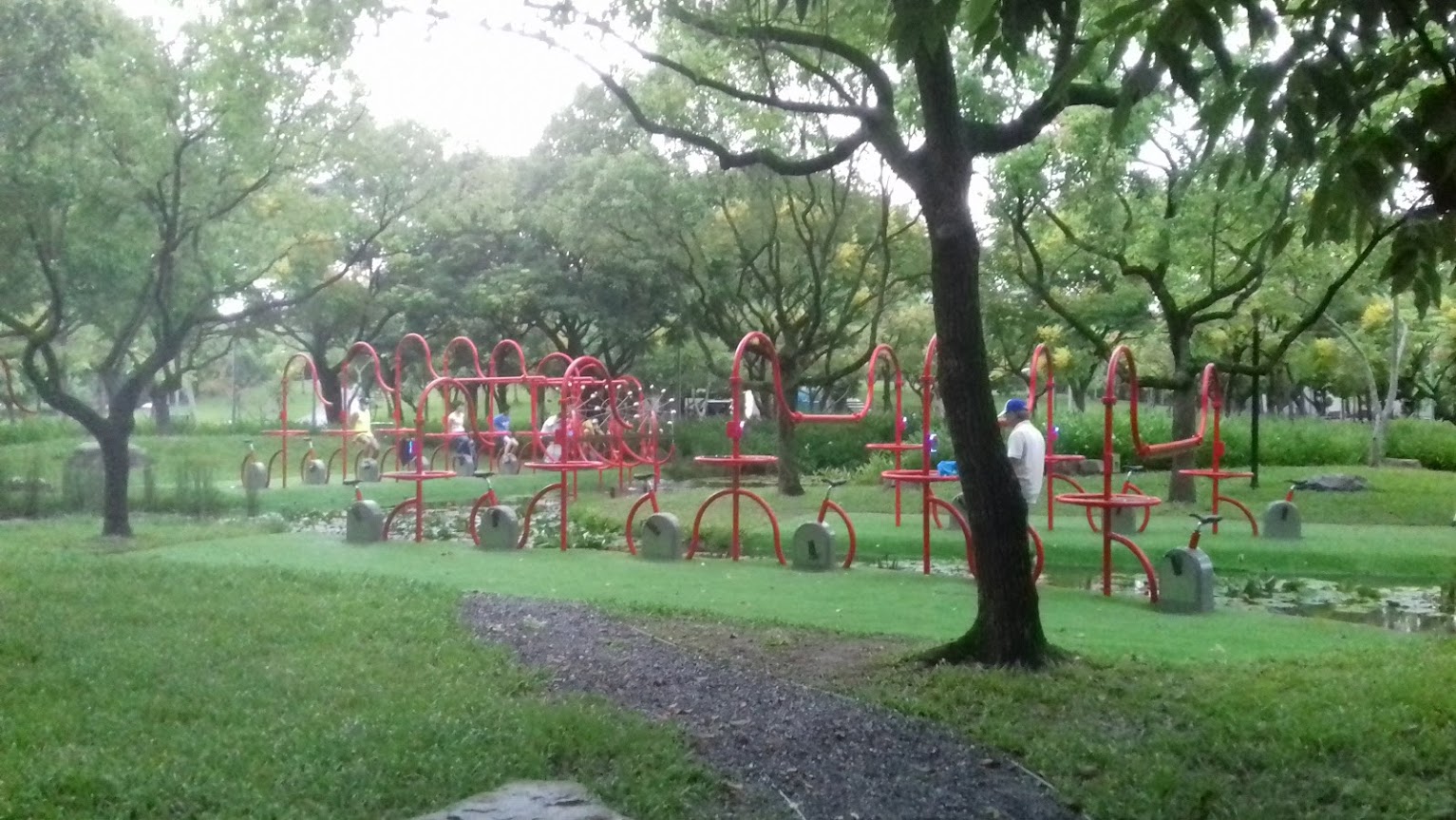 Residents in a large park in Taipei, Taiwan, during the summer period. There is grass on the ground and a number of low trees, with exercise equipment in the middleground.