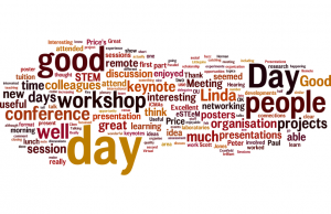 Word cloud from 2015 eSTEeM conference feedback