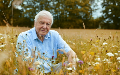 Sir David Attenborough © Alex Board I Silverback Films I BBC