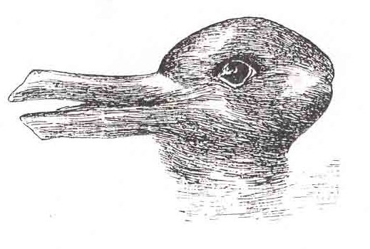 Duck-Rabbit illusion