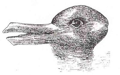 Duck-Rabbit illusion