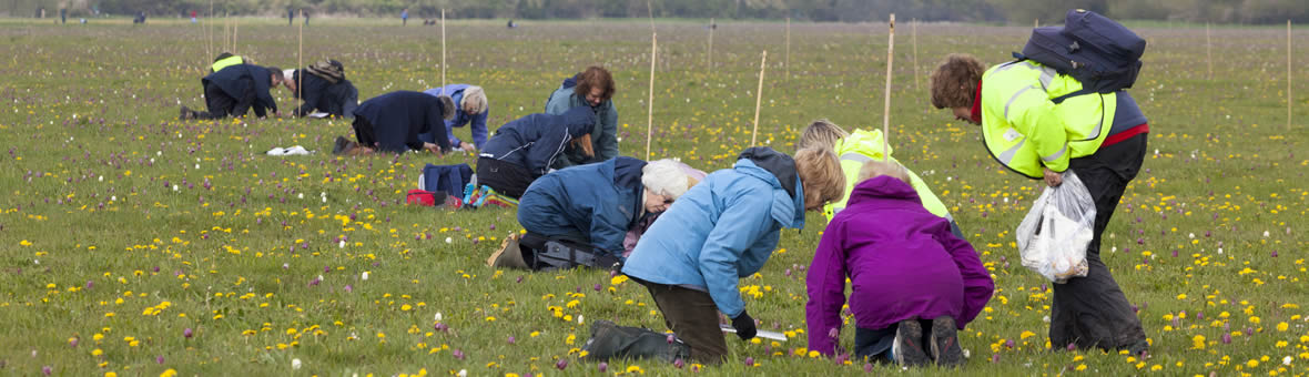 A team of citizen scientists working together across a field.