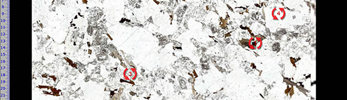 Digital Tools For Learning - a virtual microscope image of a thin section of rock with three areas highlighted