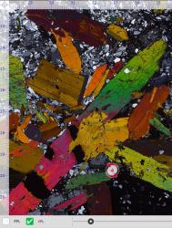 Virtual microscope image of multicoloured thin section of rock