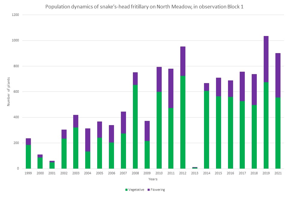 Snake's-head fritillary graph, showing population dynamics at North Meadow using 120 quadrats