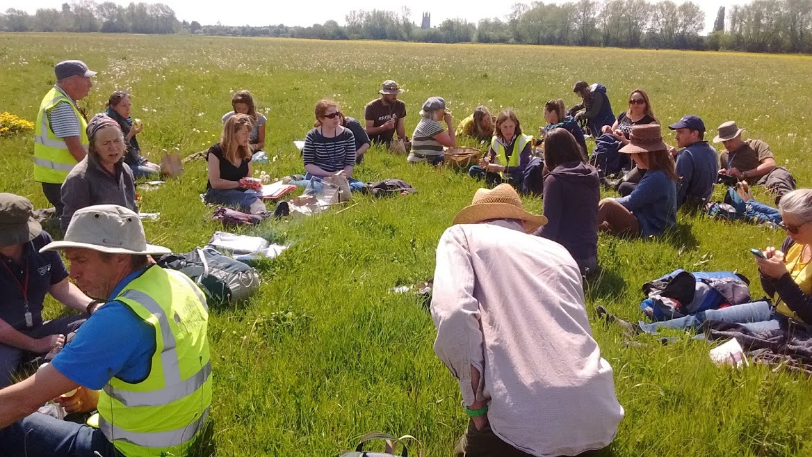 This photo shows a group of Floodplain Meadows Partnership Ambassadors sitting in a summer meadow..