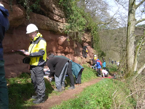 People examining different rock in a cliff face