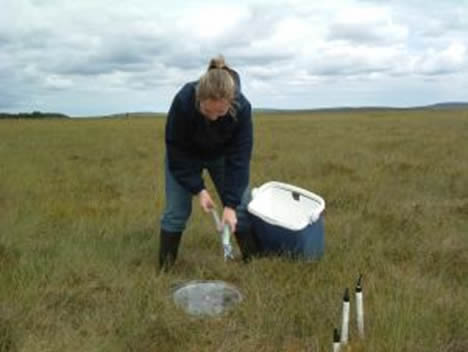 A female scientist taking reading in a field
