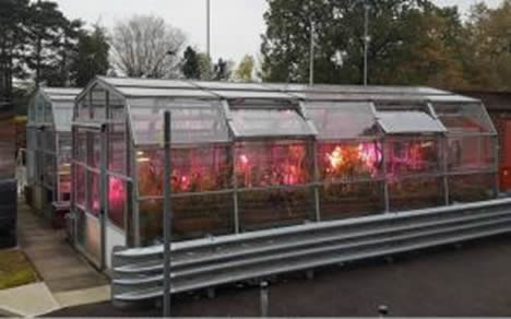 Two glass greenhouses growing plants