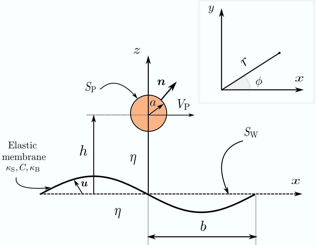 graphs of elasto-hydrodynamic interactions