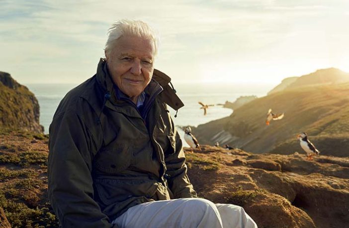 David Attenborough sat on rocks in coastal scene